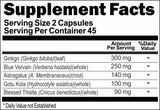BUY 1 GET 2 FREE Gingko Biloba Advantage 90 Capsules