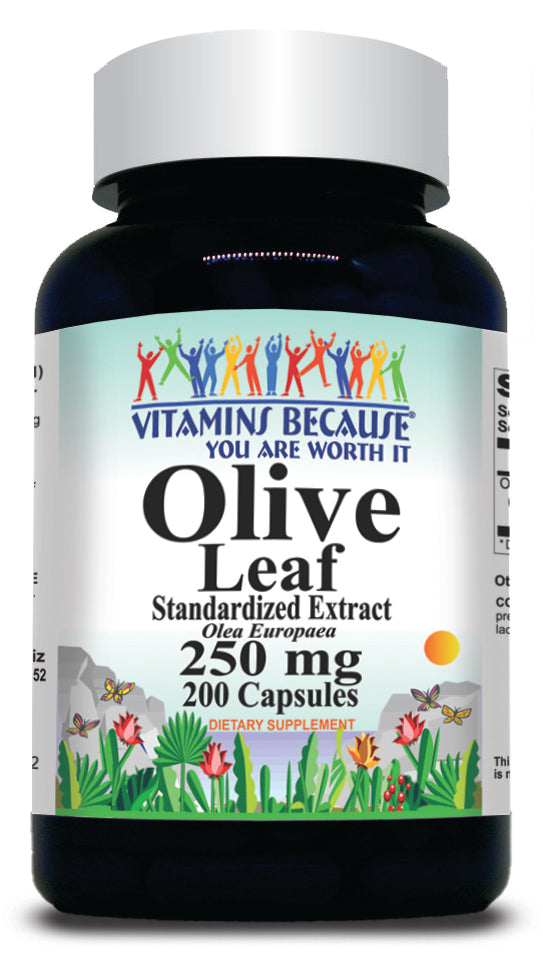 BUY 1 GET 2 FREE Olive Leaf Standardized Extract 250mg 200 Capsules